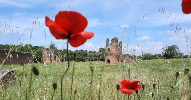 Villa di Massenzio _ alla scoperta della natura